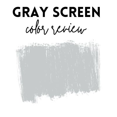 gray screen paint color review
