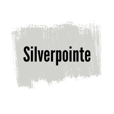 Sherwin Williams Silverpointe paint color review