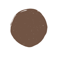 Brown Paint Colors