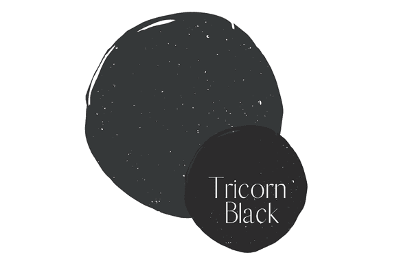 onyx vs. tricorn black 